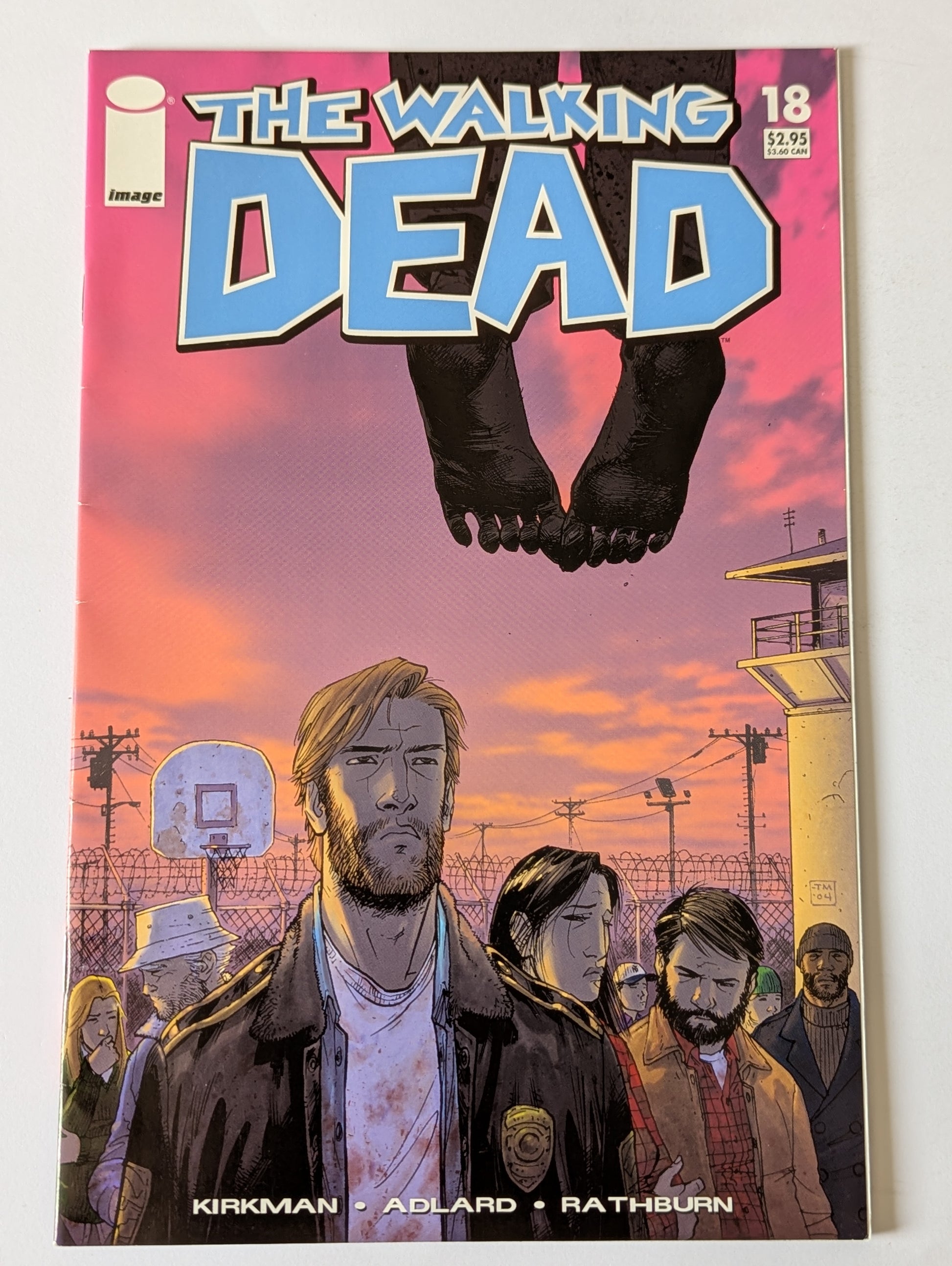 The Walking Dead #18 Image Comic Book