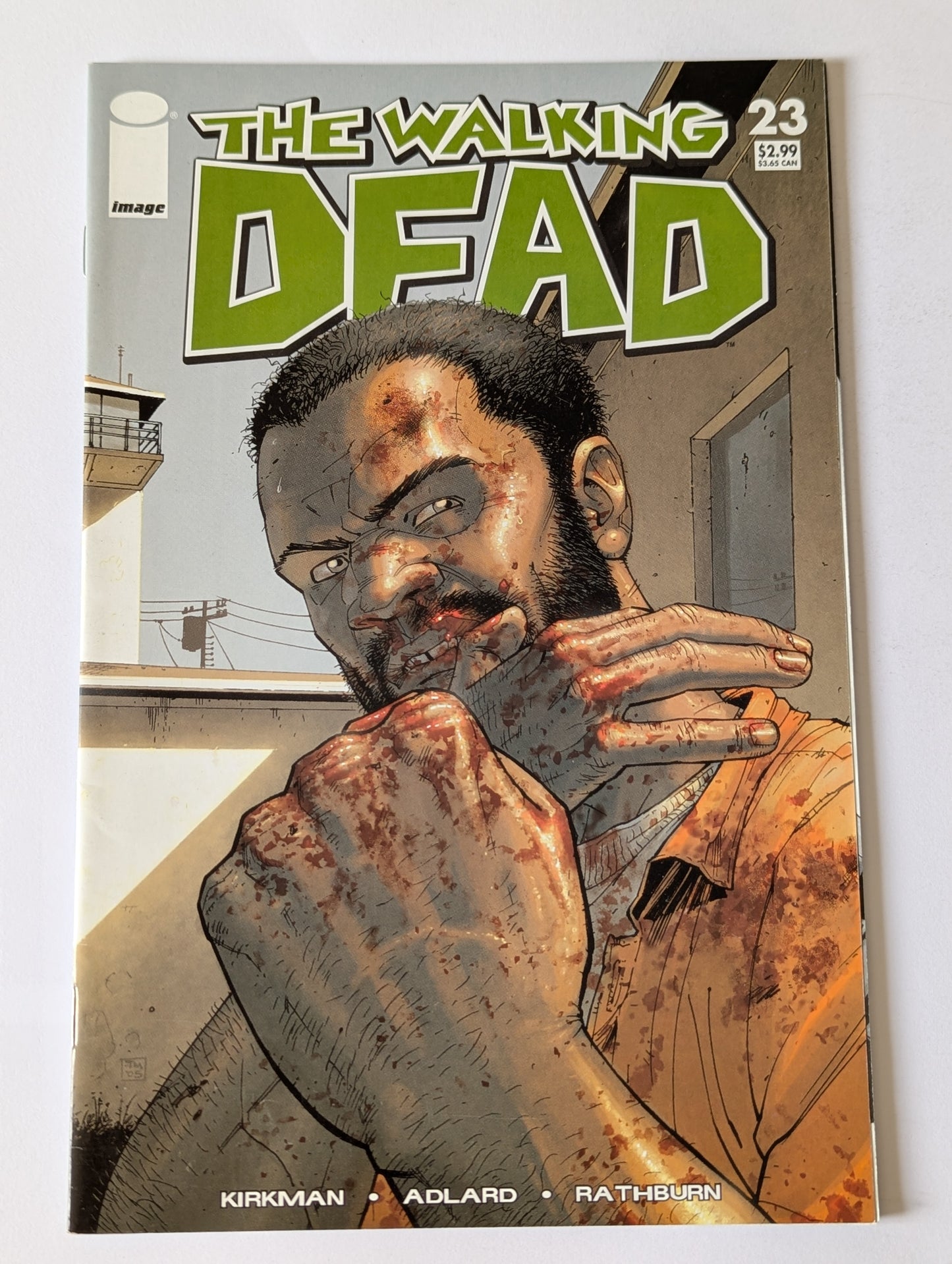 The Walking Dead #23 Image Comic Book
