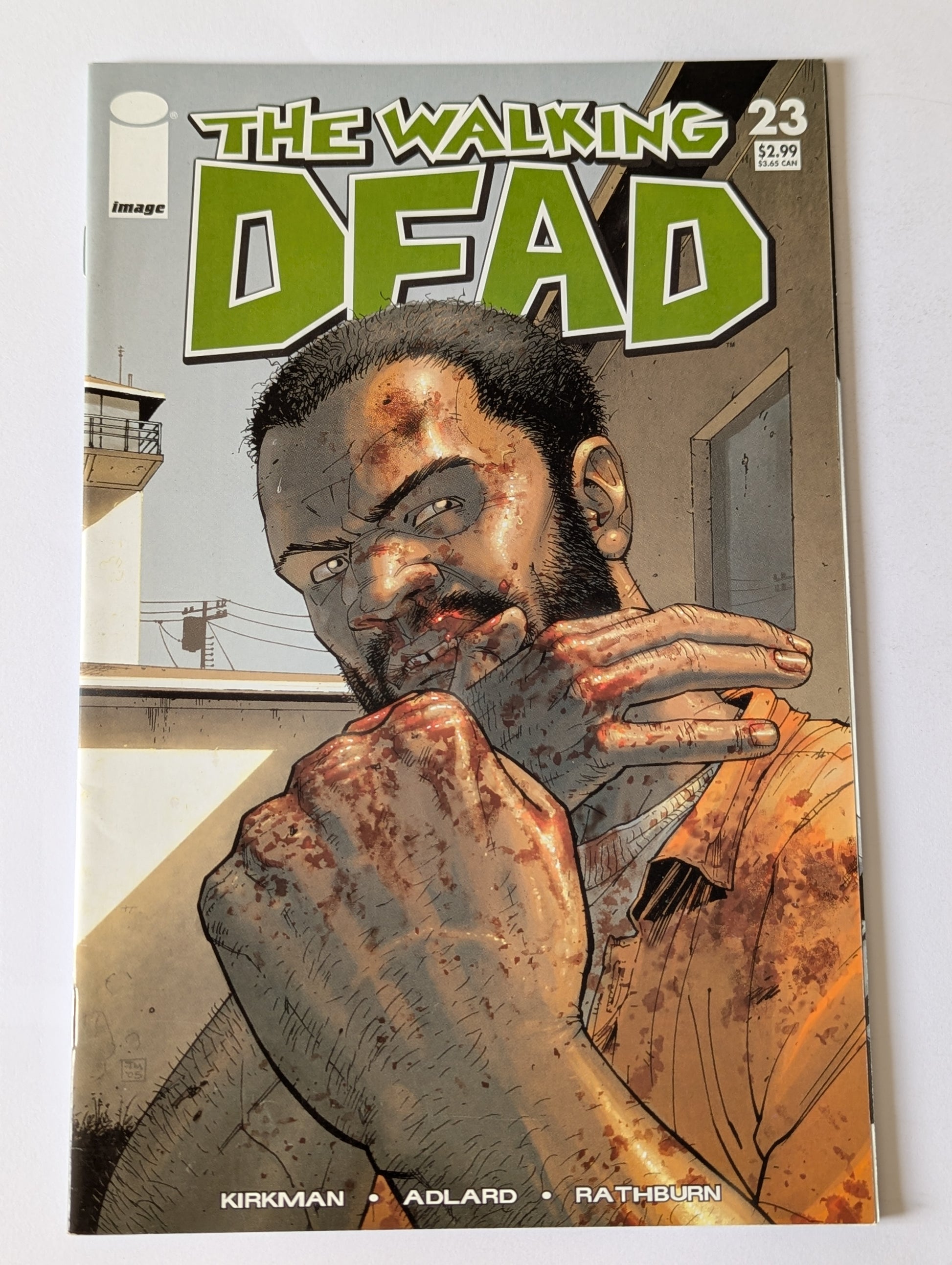The Walking Dead #23 Image Comic Book
