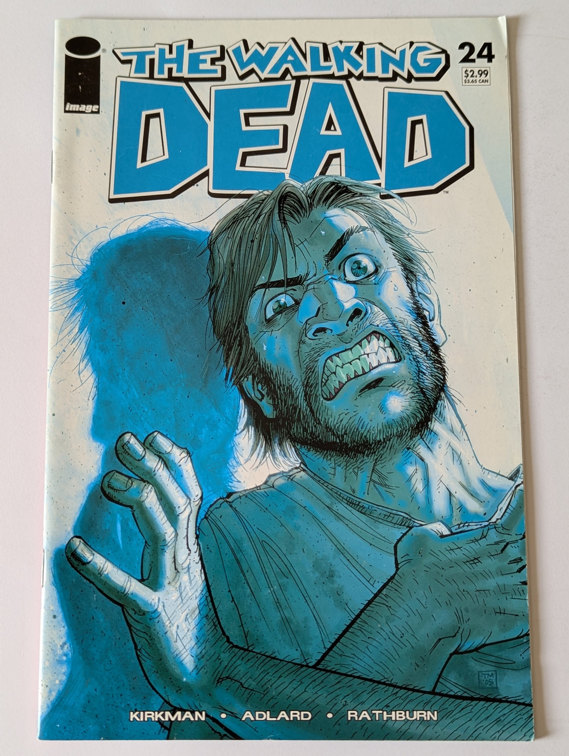 The Walking Dead #24 Image Comic Book