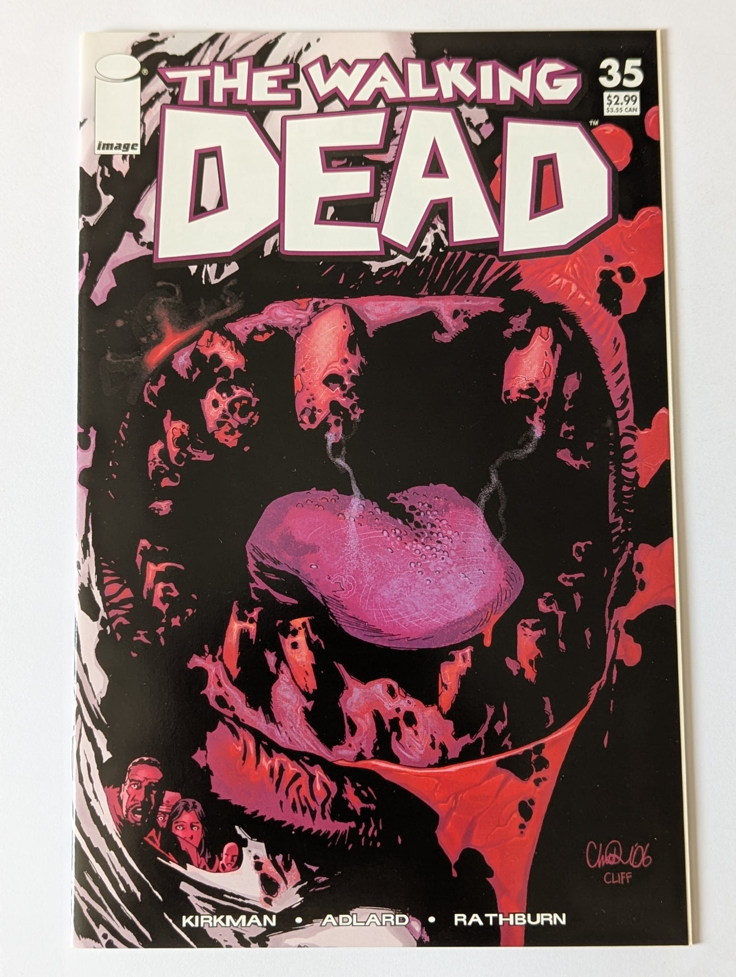 The Walking Dead #35 Image Comic Book