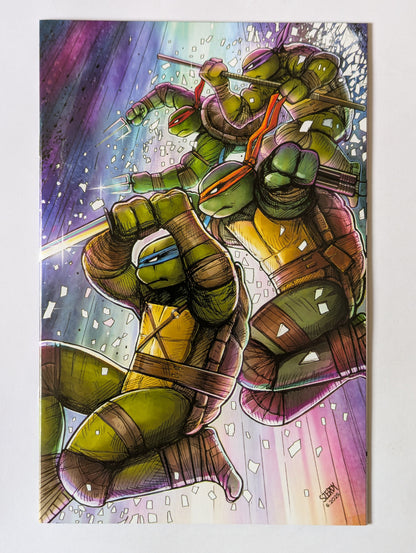 Teenage Mutant Ninja Turtles #13 IDW Comic Book