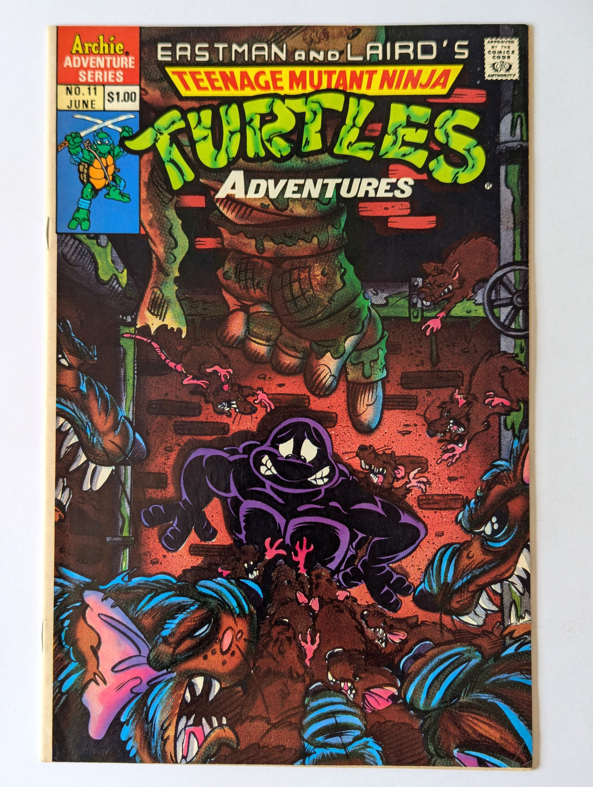 Teenage Mutant Ninja Turtles Adventures #11 Archie Comic Book