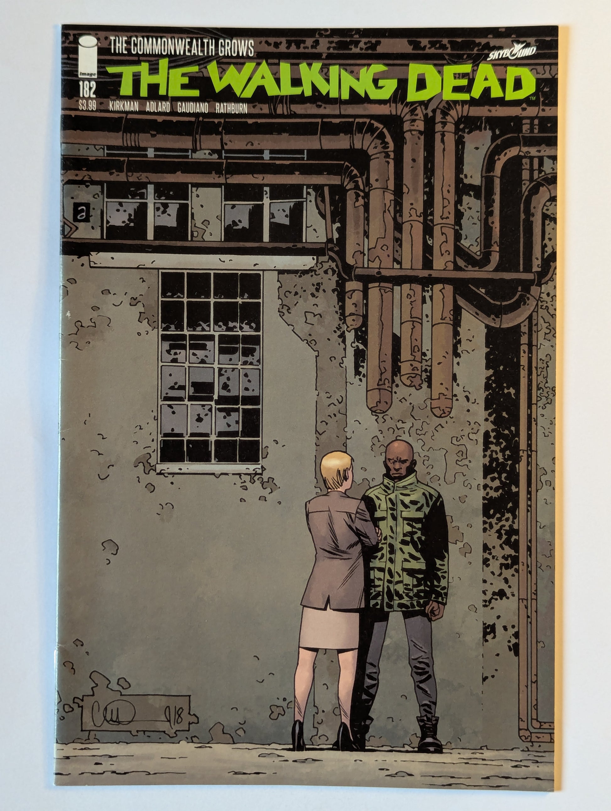 The Walking Dead #182 Image Comic Book